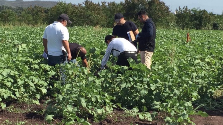 Tenía varios impactos de bala; estaba en un predio de Bacurimí