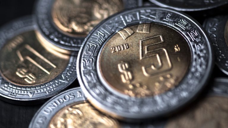 Monedas de 5 pesos del Bicentenario podrían valer hasta mil pesos