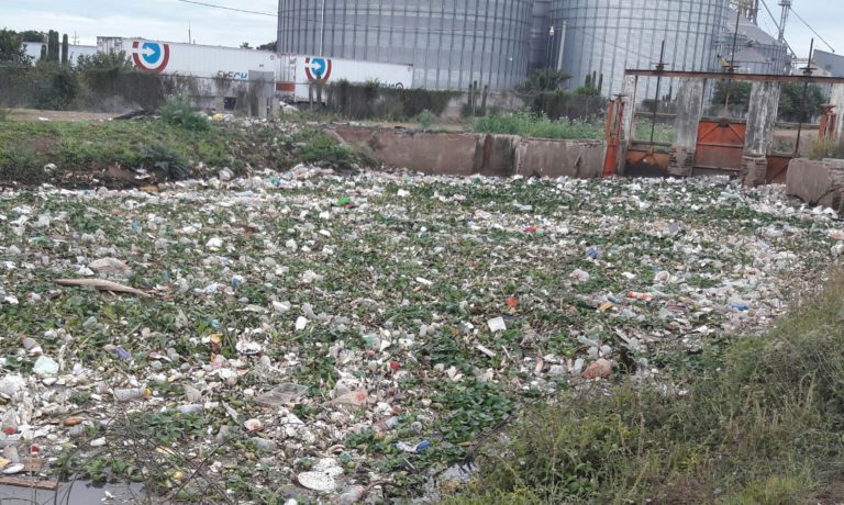 ‘Asfixia’ basura al canal Cañedo en Navolato