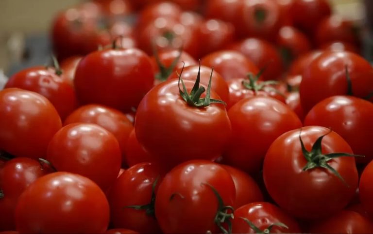 ¿Por qué el jitomate subió hasta 25%?