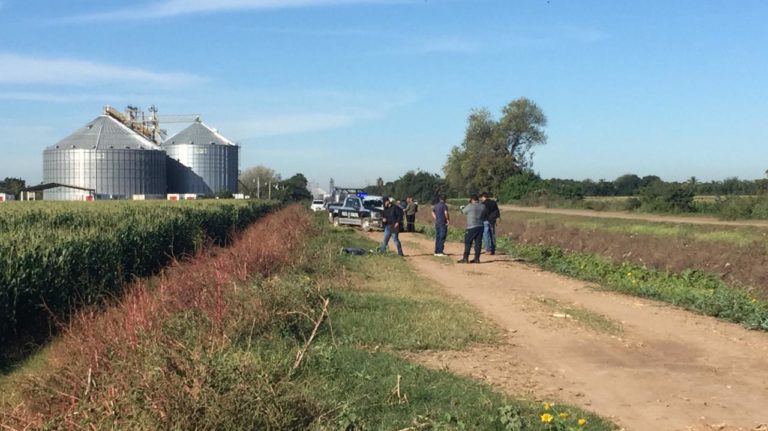 Lo hallan ejecutado en La Laguna, Navolato