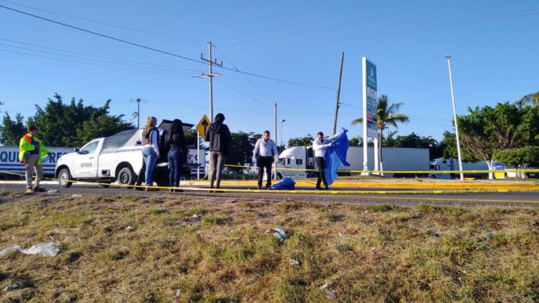 Muere otro indigente atropellado en Maxipista