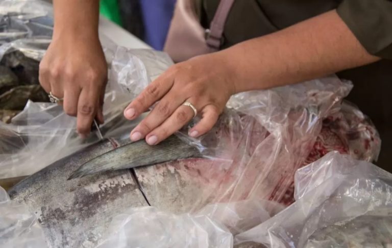 ¡Ojo! El 30% de lo que pagas por el kilo de pescado y camarón esta Cuaresma es puro hielo, denuncia estudio