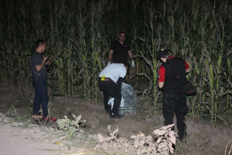 Era de Rosales; lo encuentran carbonizado en una milpa