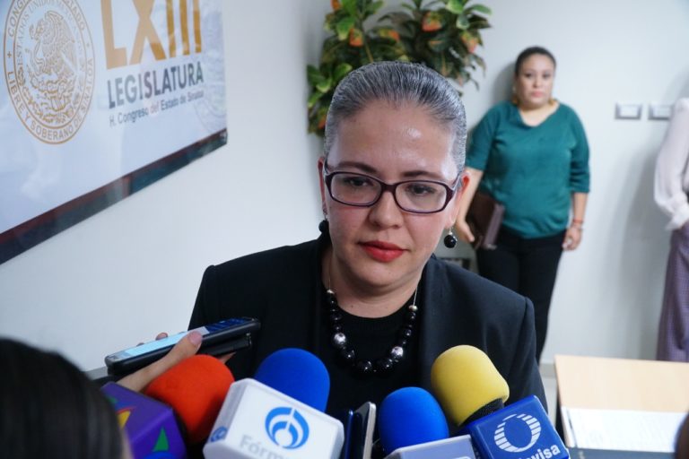 Pide diputada ver municipalización con apertura y no con trabas
