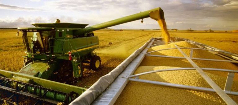Aseguran comercialización al 100% de granos