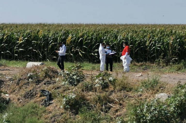 Lo encuentran muerto en cultivos de Villa Juárez