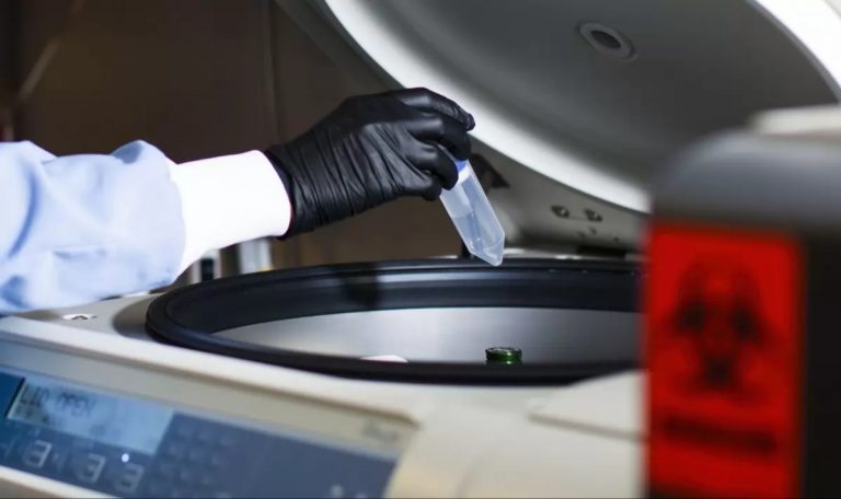 Vacuna experimental de EU da señales positivas: pacientes desarrollan anticuerpos contra COVID-19