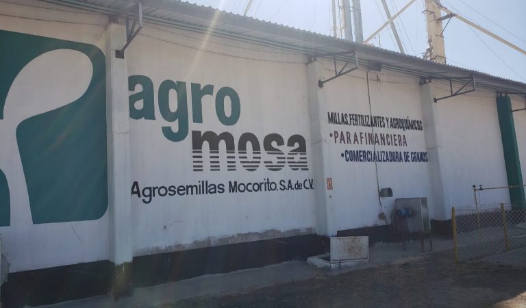 En su bodega, paga Campesinos Unidos $4,150 por tonelada de maíz
