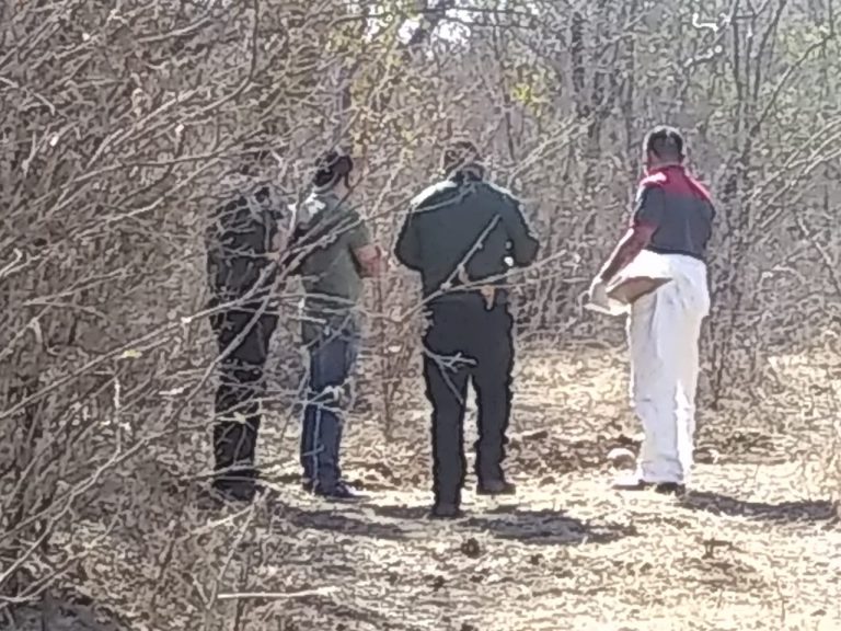 Encuentran osamenta al sur de Culiacán