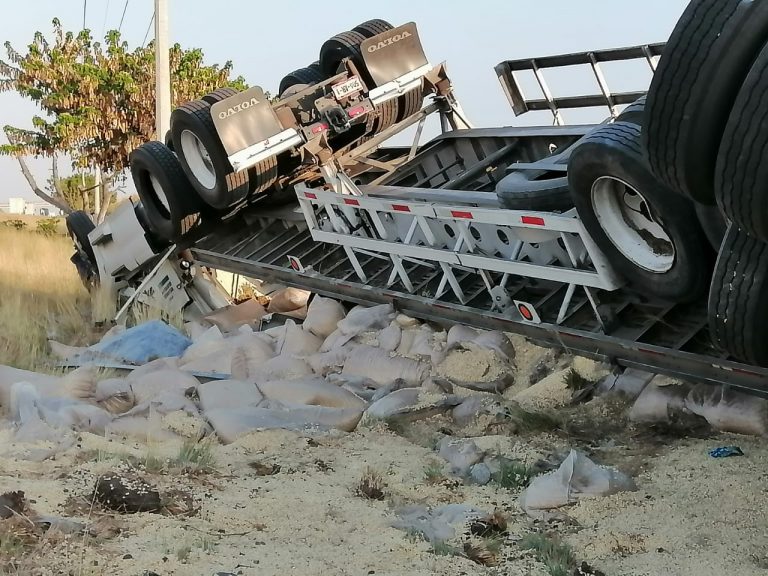 Vuelca camión cargado de maíz en Maxipista