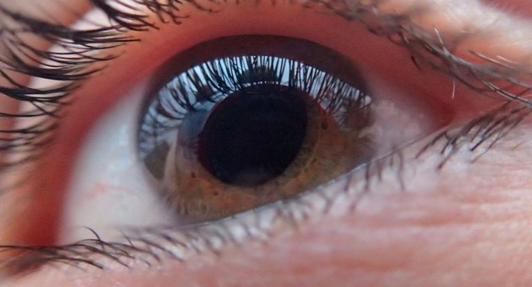 ¿Qué números ves en la imagen? Conoce el reto viral que detecta problemas en la visión