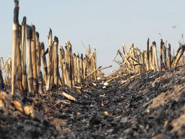 Pide gobierno a municipios aplicar sanciones por quema de soca