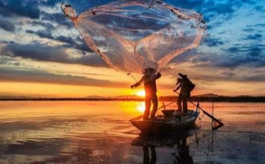 Acusa cooperativa de Altata censo Bienpesca a conveniencia