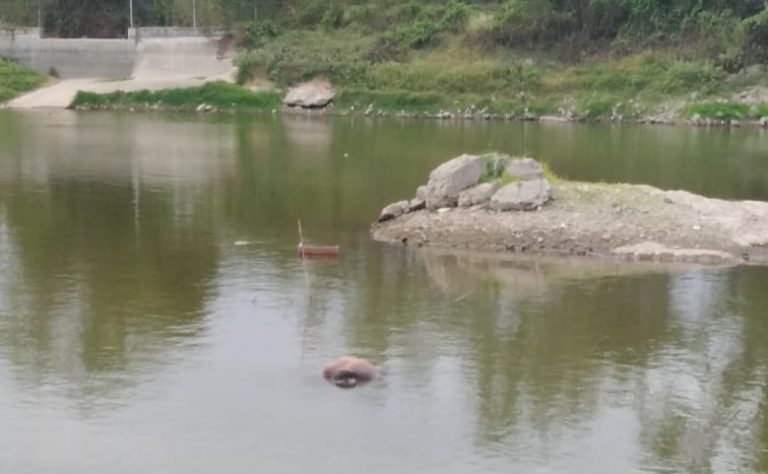 Hallan flotando cadáver en laguna de la Ampliación 5 de Febrero