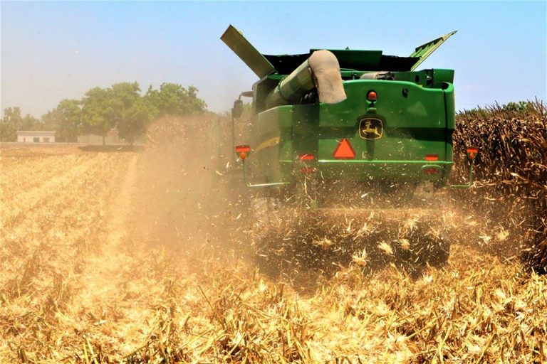 Rompen maíz y trigo racha negativa