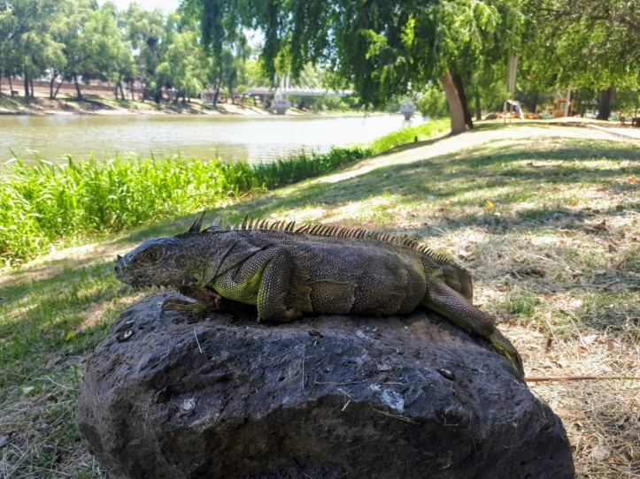Abren la Isla de Orabá en Culiacán