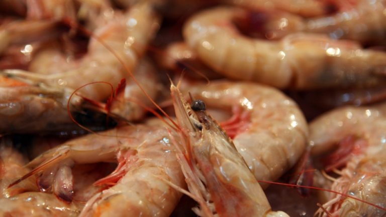 Les dan 723 años de prisión por estafar a público con promoción de mariscos