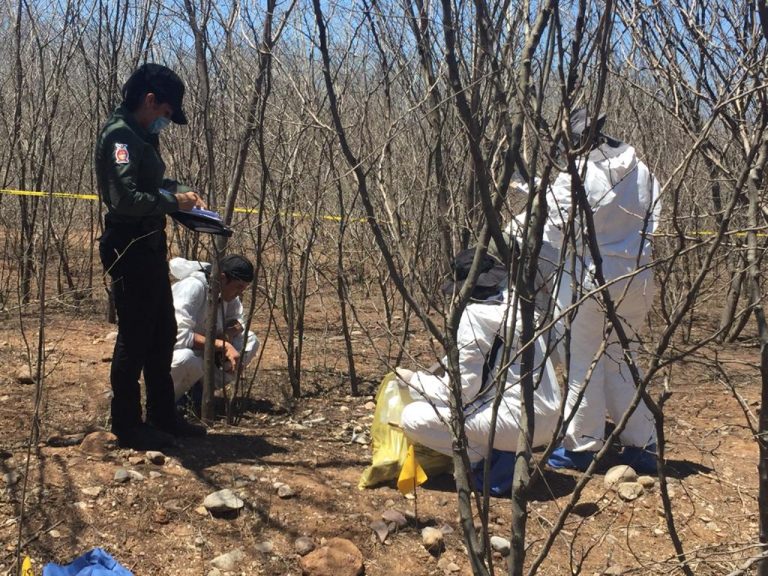 Encuentran osamenta al sur de Culiacán
