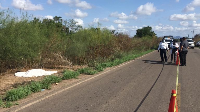 Muere mujer atropellada en 5 de Mayo, Navolato