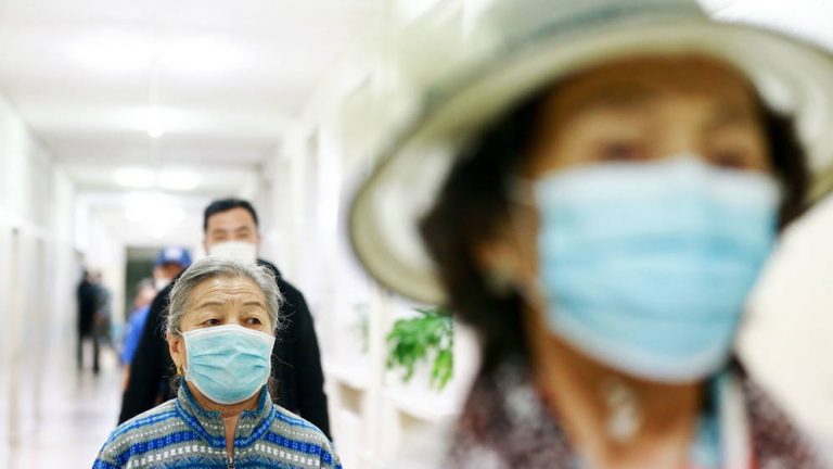 ¿Brote de peste negra en Mongolia? Confirman dos casos de peste bubónica