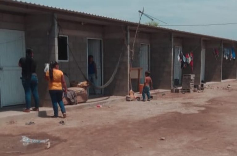 Destapan irregularidades en agrícola de Navolato donde vive familia de bebé muerto