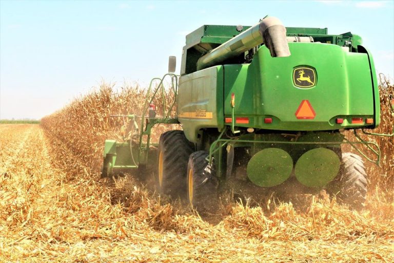 Pagan a productores de maíz $90 millones en coberturas