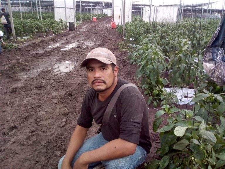 Desaparece excapataz de agrícola en Navolato