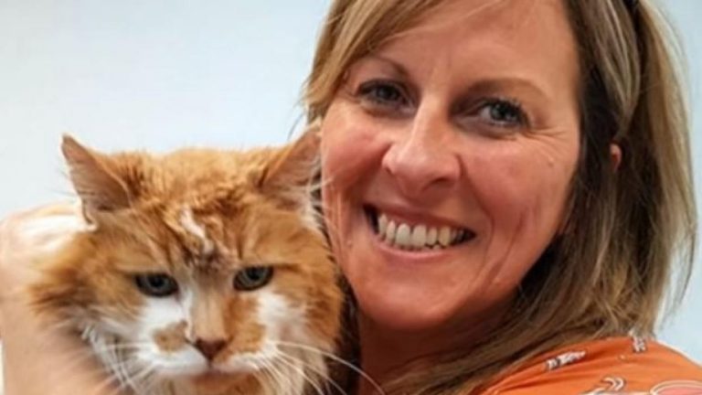Muere a los 31 años el gato más viejo del mundo