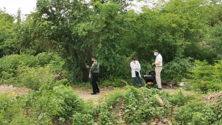 Envuelto en una lona localizan cadáver en Montesierra