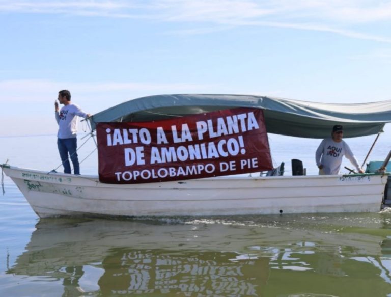 Someterá AMLO a consulta planta de amoniaco en Topolobampo