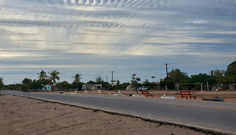 Tenía un balazo en la cabeza; lo hallan en Las Aguamitas, Navolato