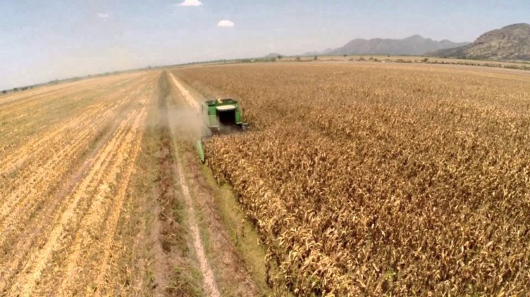 Les prometieron el doble de beneficios, sólo hay millones en descuentos al campo