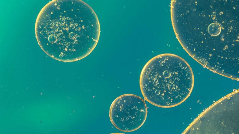 Crean células para tratar la diabetes