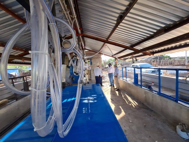 Con nuevos equipos, suben ganancia de $6 a $8 por litro de leche