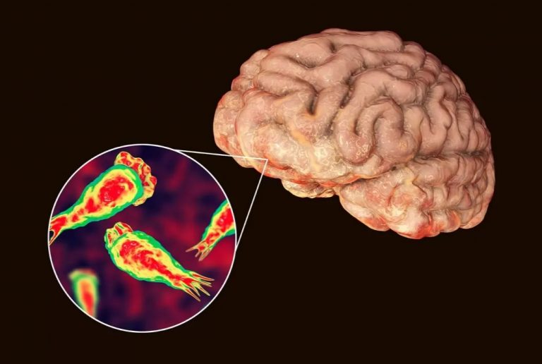 EU, en alerta por ‘ameba comecerebros’ en el agua