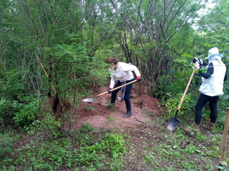 Hallan fosa con cuatro cadáveres en Culiacán