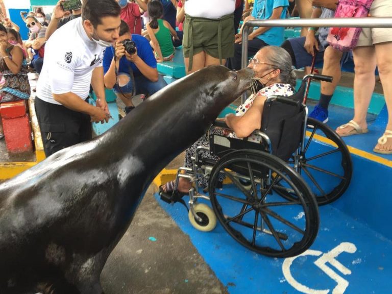 Da Acuario Mazatlán trato preferencial a personas de la tercera edad