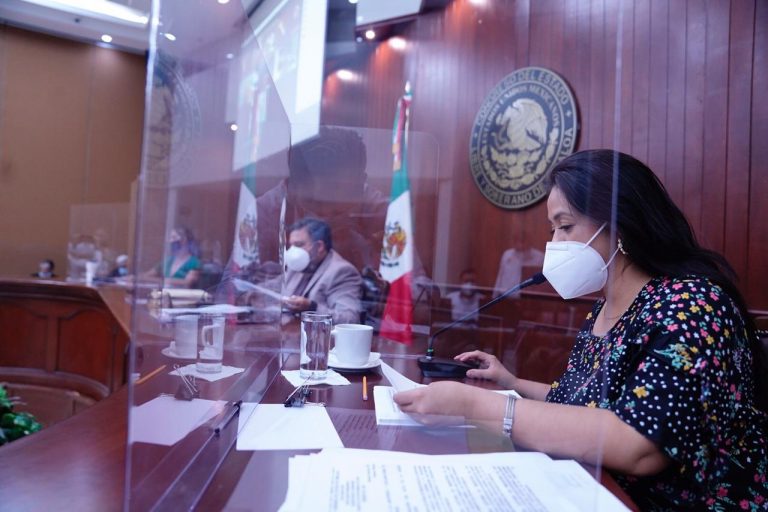 Buscan diputados testigos sociales