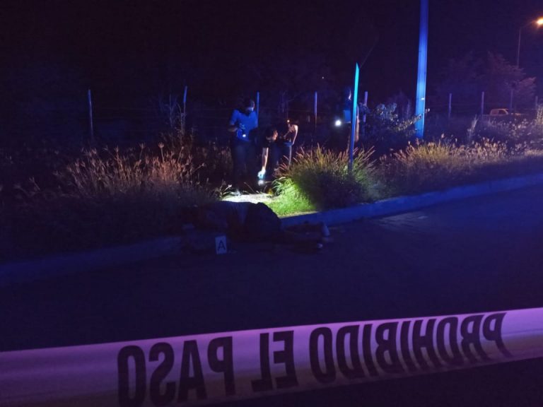 Lo matan rumbo a Imala; había un perro Chihuahua junto a él