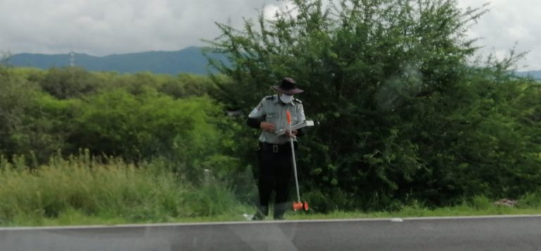 Fallece pareja de Cosalá en accidente sobre la México 15