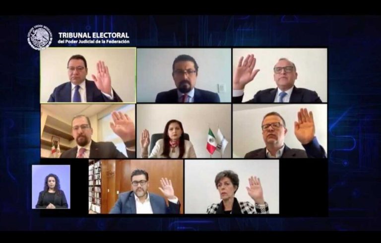 Trife valida proceso para elegir dirigencia en Morena