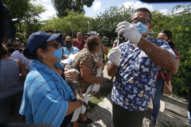 Llega el camioncito esterilizador a la Francisco Villa