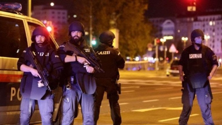 Ataque en Viena: al menos 5 muertos y más de 15 heridos