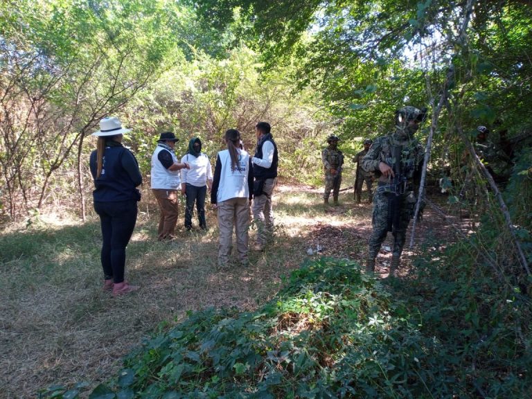Localizan en Isla Musala restos óseos de un hombre