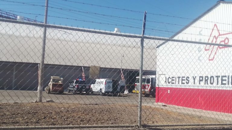 Muere al caer en contenedor de granos en Bachigualato