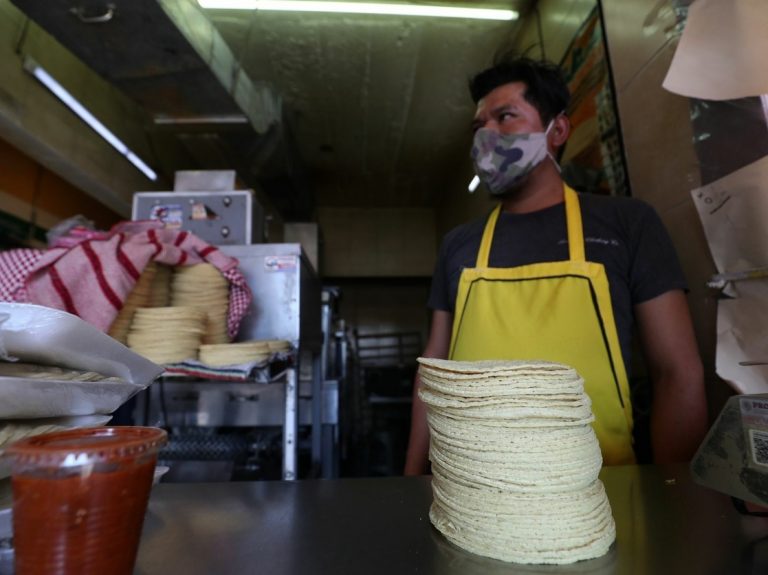 No hay motivos para que aumente el precio de la tortilla: Profeco