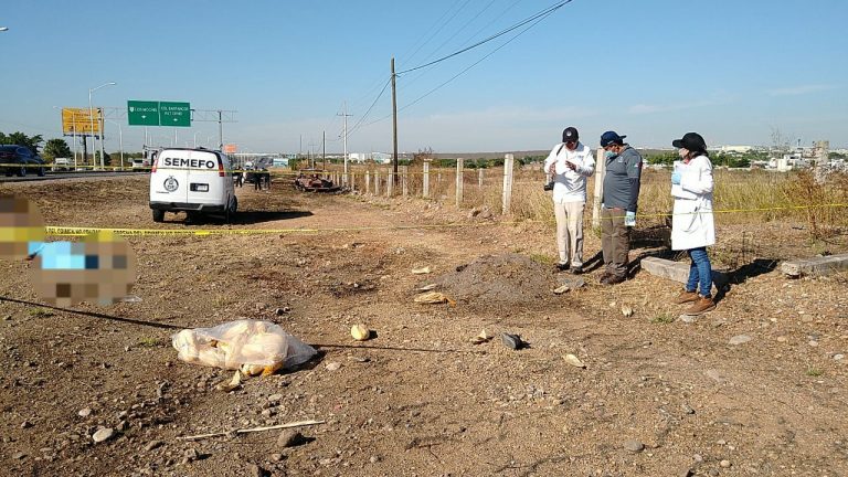 La atropella un tráiler; iba por un costal que cayó de su auto