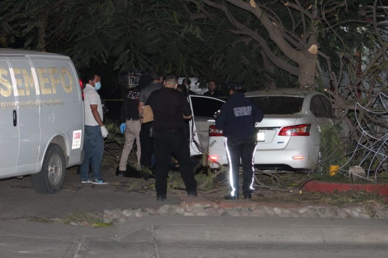 Muere al salir de la carretera y se impacta contra un árbol
