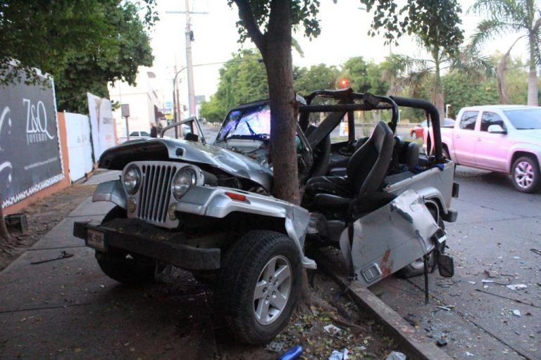Queda auto abrazado a un árbol frente al Zoo